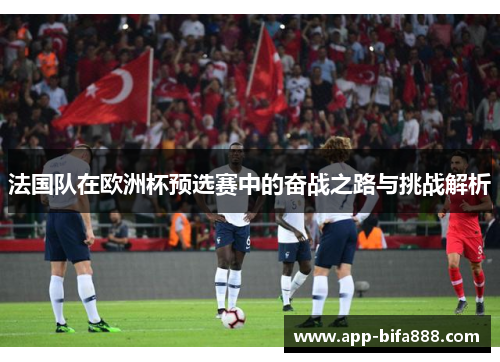 法国队在欧洲杯预选赛中的奋战之路与挑战解析